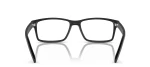 ARNETTE LEONARDO AN 7179 01