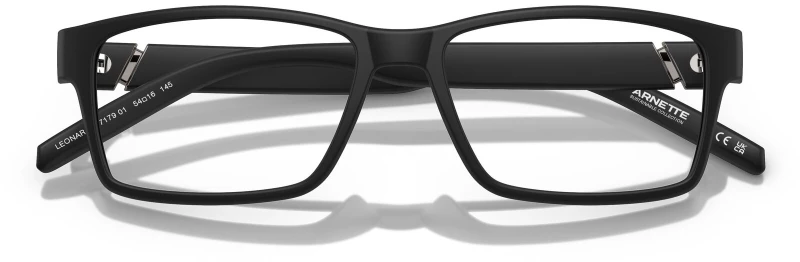 ARNETTE LEONARDO AN 7179 01