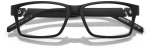 ARNETTE LEONARDO AN 7179 01