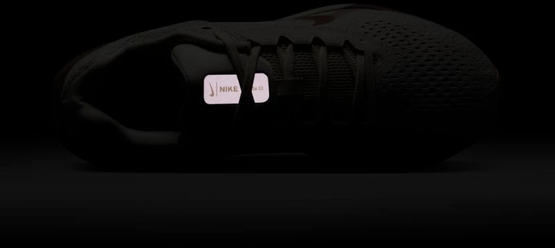 Nike Winflo 11 FJ9510 FJ9510-109 NIKE Μπεζ