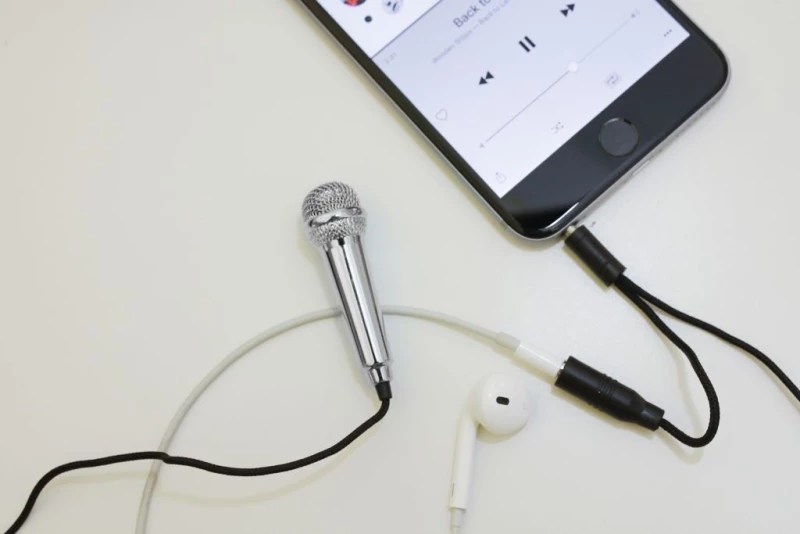 Mini Karaoke Microphone - Silver (US133-EU) / Gadgets