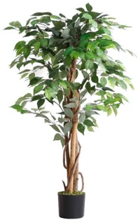 FICUS TREE NP0078_120   YΨΟΣ 120cm |