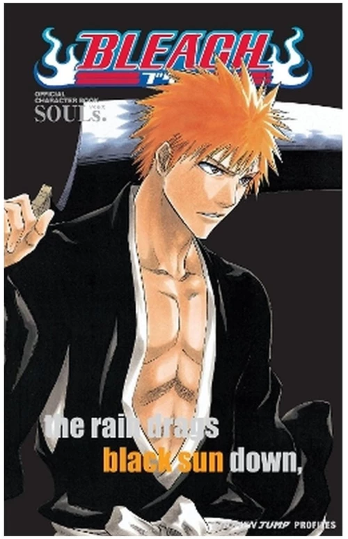 BLEACH SOULS PA