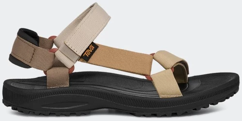TEVA WINSTED - 1017424-NLMT