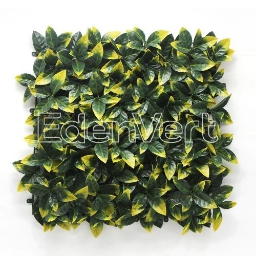 Φυλλωσιά 50cm x 50cm Photinia