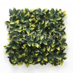 Φυλλωσιά 50cm x 50cm Photinia