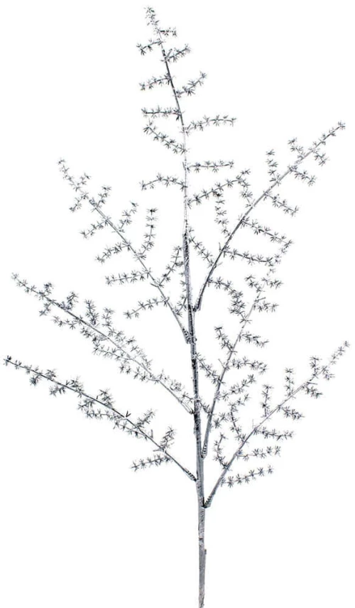 Χριστουγεννιάτικο Κλαδί 224164 78cm Silver