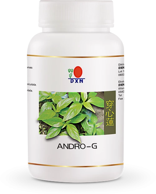 Andro-G (DXN) 30caps