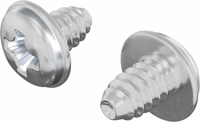 vidaXL Βίδες ασφαλείας 2 pcs Ασημί M4 x 5 mm Σίδερο