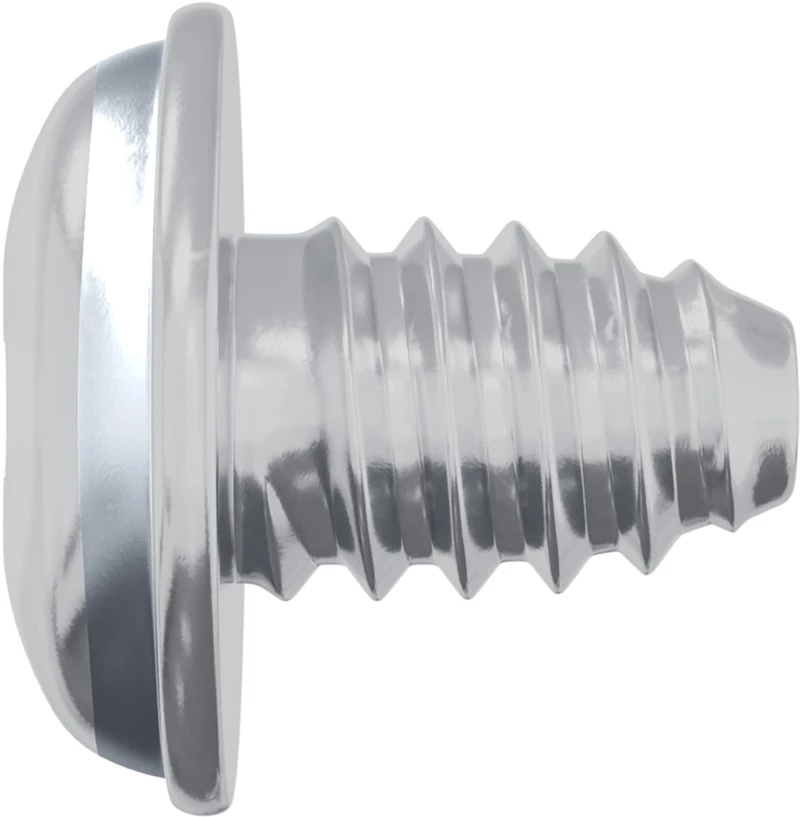 vidaXL Βίδες ασφαλείας 2 pcs Ασημί M4 x 5 mm Σίδερο