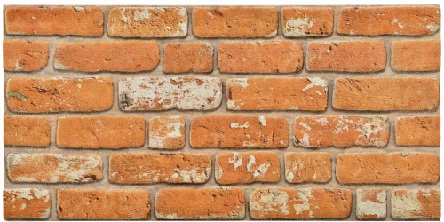 vidaXL Πάνελ τοίχου 10 pcs Τούβλο 100 x 50 cm Αφρός EPS
