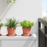 vidaXL Γλάστρες φυτών 6 pcs Κεραμιδί Ø 12,5 x 10 εκ Πλαστικό