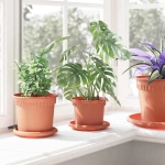 vidaXL Γλάστρες φυτών 6 pcs Κεραμιδί Ø 12,5 x 10 εκ Πλαστικό