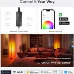 Smart floor lamp Nanoleaf 22W 1700Lm (black)
