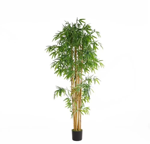BAMBOO  NP0076_210 ΥΨΟΣ 210cm |