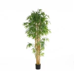 BAMBOO  NP0076_210 ΥΨΟΣ 210cm |