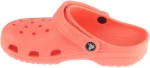 Crocs Classic Clog 10001-6UI