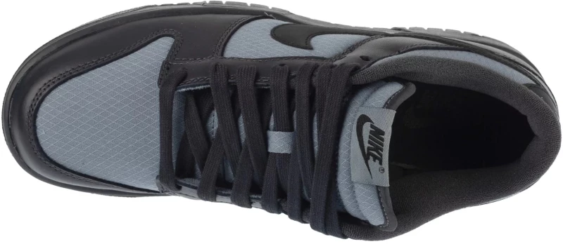 Nike Dunk Low Retro SE FZ3052-001