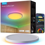 Govee Ceiling Light 30cm (H80A1)
