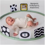 Κέντρο Δραστηριοτήτων Taf Toys Tummy Time Trainer T-12945