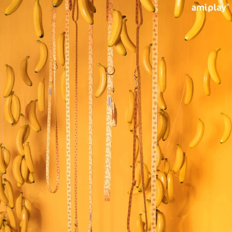 Λουρί, Οδηγός Σκύλου Amiplay Be Happy Banana M 2x150cm